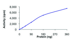 STK32C (YANK3), active, GST tagged human PRECISIO®, recombinant, expressed in baculovirus infected Sf9 cells, ≥70% (SDS-PAGE), buffered aqueous glycerol solution