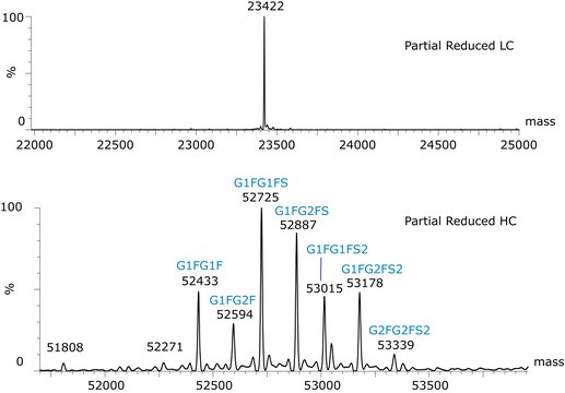 SILu&#8482;Lite SigmaMAb西妥昔单抗单克隆抗体 recombinant, expressed in CHO cells