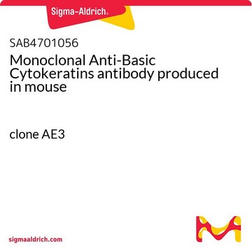 Monoclonal Anti-Basic Cytokeratins antibody produced in mouse clone AE3