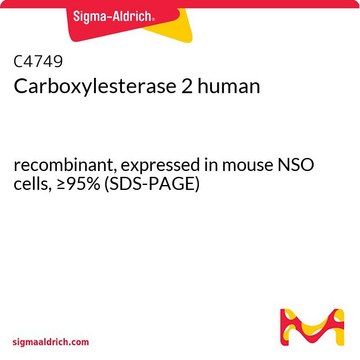 羧基酯酶2 人 recombinant, expressed in mouse NSO cells, &#8805;95% (SDS-PAGE)