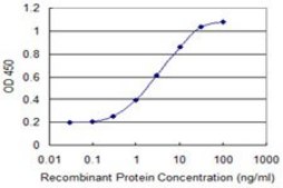 Monoclonal Anti-MAP1S antibody produced in mouse clone 4H2, purified immunoglobulin, buffered aqueous solution