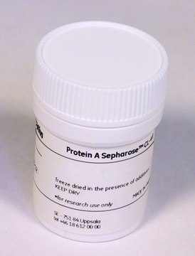 Protein A Sepharose&#8482; Cl-4B Cytiva 17-0963-03, pack of 25&#160;mL