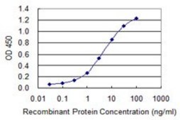 Monoclonal Anti-PMFBP1 antibody produced in mouse clone 4G9, purified immunoglobulin, buffered aqueous solution