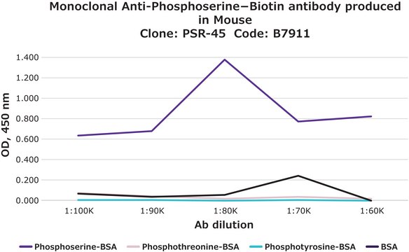 单克隆抗磷酸丝氨酸 clone PSR-45, purified immunoglobulin, buffered aqueous solution