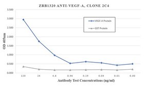 Anti-VEGF-A Antibody, clone 2C4 ZooMAb® Rabbit Monoclonal recombinant, expressed in HEK 293 cells