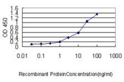 Monoclonal Anti-DEPC-1 antibody produced in mouse clone 2A5-4F5, purified immunoglobulin, buffered aqueous solution