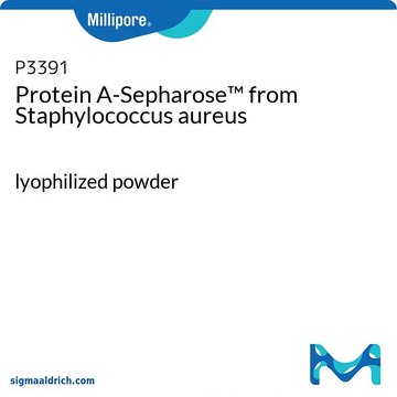 蛋白 A-琼脂糖&#8482; 来源于金黄色葡萄球菌 lyophilized powder