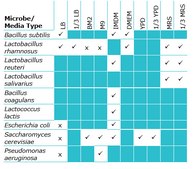 MediaBoost non-animal sterile microbial growth supplement