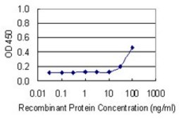 Monoclonal Anti-PKM2, (C-terminal) antibody produced in mouse clone 2D8, purified immunoglobulin, buffered aqueous solution