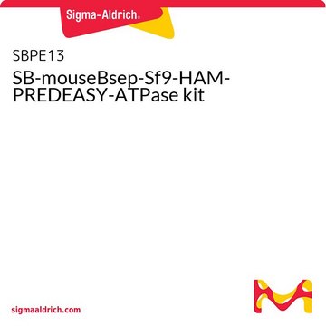 SB-mouseBsep-Sf9-HAM-PREDEASY-ATPase试剂盒