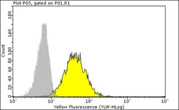 Anti-HLA-B7 Antibody, clone BB7.1, PE Conjugate clone BB7.1, Chemicon&#174;, from mouse