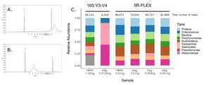 5R-Plex kit Ultra-sensitive 16S NGS assay for degraded and low biomass DNA