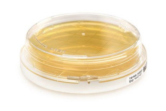 Sabouraud Dextrose Agar Contact With Chloramphenicol, 55 mm lockable Contact Plates, for detection of yeast and molds- Room Temperature storage