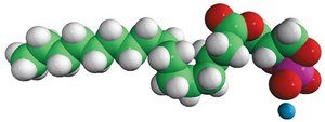 16:0 Cyclic LPA 1-palmitoyl-sn-glycero-2,3-cyclic-phosphate (ammonium salt), powder