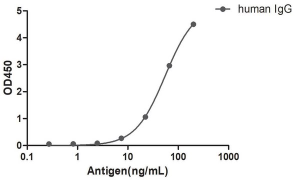 Alpaca Anti-Human IgG(Fc&#947;) single domain Antibody recombinant Alpaca(VHH) Nano antibody