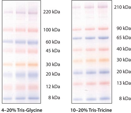 ColorBurst&#8482; Electrophoresis Marker mol wt 8,000-220,000&#160;Da