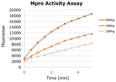 Mpro, 3CL Protease from coronavirus SARS-COV-2 recombinant protein, lyophilized product