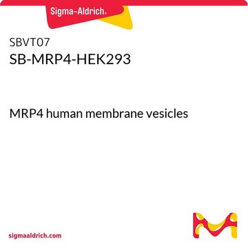 SB-MRP4-HEK293 MRP4 human membrane vesicles