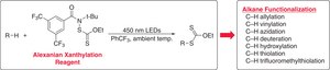N-(tert-Butyl)-N-((ethoxycarbonothioyl)thio)-3,5-bis(trifluoromethyl)benzamide
