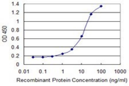 Monoclonal Anti-KLK14 antibody produced in mouse clone 2A7, purified immunoglobulin, buffered aqueous solution