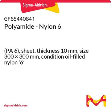 Polyamide - Nylon 6 (PA 6), sheet, thickness 10&#160;mm, size 300 × 300&#160;mm, condition oil-filled nylon &#8242;6&#8242;