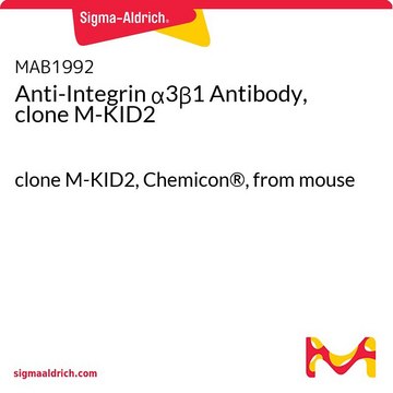 抗整合素 &#945;3&#946;1抗体（克隆M-KID2） clone M-KID2, Chemicon&#174;, from mouse