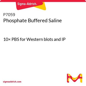 磷酸盐缓冲溶液 10× PBS for Western blots and IP