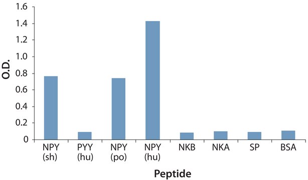 Anti-Neuropeptide Y (NPY) antibody produced in rabbit whole antiserum