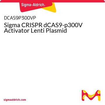 Sigma CRISPR dCAS9-p300V Activator Lenti Plasmid