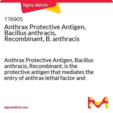 Anthrax Protective Antigen, Bacillus anthracis, Recombinant, B. anthracis Anthrax Protective Antigen, Bacillus anthracis, Recombinant, is the protective antigen that mediates the entry of anthrax lethal factor and edema factor into the target cell.