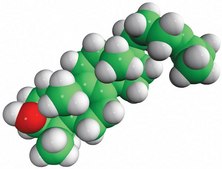 T-MAS Avanti Research™ - A Croda Brand