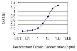 Monoclonal Anti-DAZAP2, (C-terminal) antibody produced in mouse clone 3G21, purified immunoglobulin, buffered aqueous solution