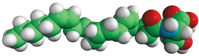 N-20:4 L-Serine (ARA-S) N-arachidonoyl L-serine, chloroform