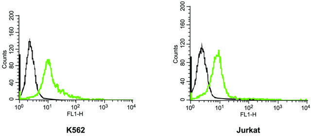 Anti-Potassium Channel Kv11.1 (HERG) Extracellular&#8722;FITC antibody produced in rabbit affinity isolated antibody, lyophilized powder