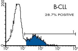 Anti-FMC-7 B-Cell Lymphocyte Marker Antibody, clone FMC-7, FITC conjugated clone FMC-7, Chemicon®, from mouse