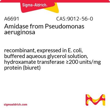 Amidase from Pseudomonas aeruginosa recombinant, expressed in E. coli, buffered aqueous glycerol solution, hydroxamate transferase &#8805;200&#160;units/mg protein (biuret)