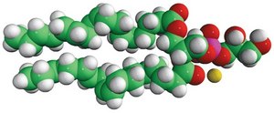 18:3 PG 1,2-dilinolenoyl-sn-glycero-3-phospho-(1′-rac-glycerol) (sodium salt), chloroform