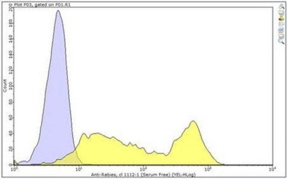 Anti-Rabies Virus Antibody, Serum Free Antibody, clone 1112-1 clone 1112-1, from mouse