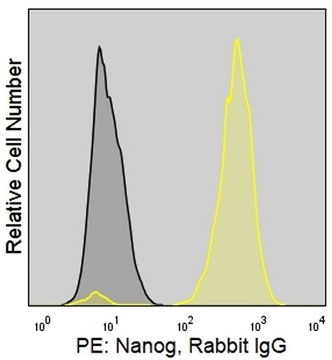 Anti-Human Nanog (4C17) ColorWheel&#174; Dye-Ready mAb