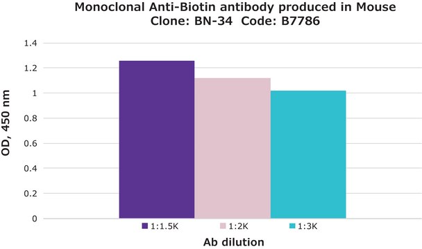 Anti-fd Bacteriophage antibody produced in rabbit IgG fraction of antiserum, buffered aqueous solution