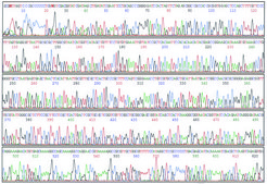 GenElute&#8482; Plasmid Miniprep Kit sufficient for 70&#160;purifications