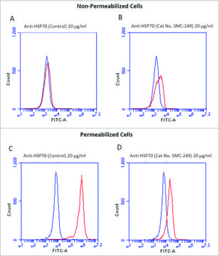 Monoclonal Anti-HSP70-Atto 390 antibody produced in mouse clone 1H11