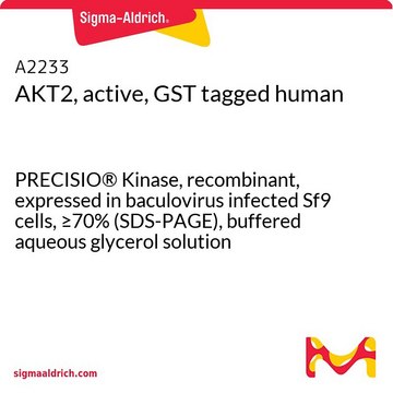 AKT2, active, GST tagged human PRECISIO&#174; Kinase, recombinant, expressed in baculovirus infected Sf9 cells, &#8805;70% (SDS-PAGE), buffered aqueous glycerol solution