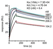 Alpaca Anti-PCSK9, recombinant single domain Antibody Recombinant Alpaca(VHH) Nano antibody