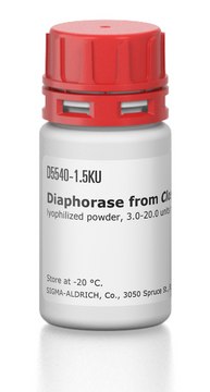 Diaphorase from Clostridium kluyveri lyophilized powder, 3.0-20.0&#160;units/mg protein (biuret)