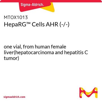 HepaRG&#8482; Cells AHR (-/-) one vial, from human female liver(hepatocarcinoma and hepatitis C tumor)