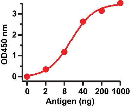 Anti-SARS-CoV Spike antibody produced in rabbit affinity isolated antibody