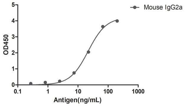 Alpaca Anti-Mouse IgG2a(Fc&#947;) single domain Antibody recombinant Alpaca(VHH) Nano antibody