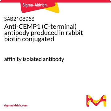 Anti-CEMP1 (C-terminal) antibody produced in rabbit biotin conjugated affinity isolated antibody