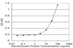 Monoclonal Anti-LCN1 antibody produced in mouse clone 1B11, purified immunoglobulin, buffered aqueous solution